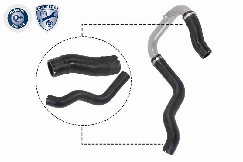 VAICO V24-0731 Charge Air Hose