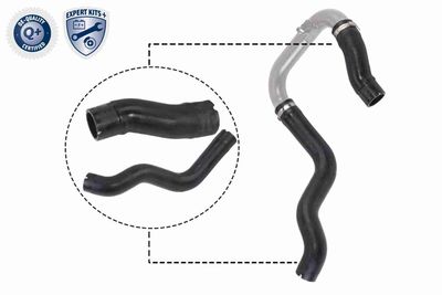 Charge Air Hose VAICO V24-0731
