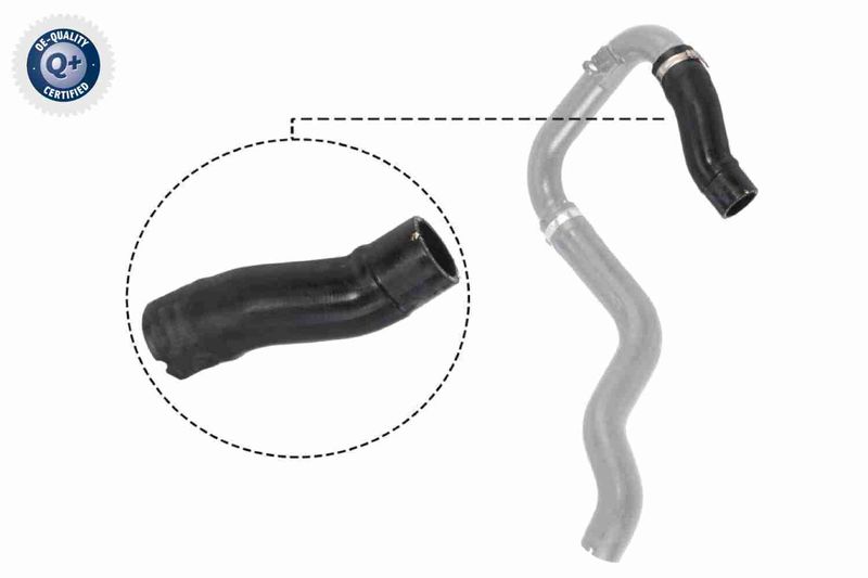VAICO V24-0732 Charge Air Hose