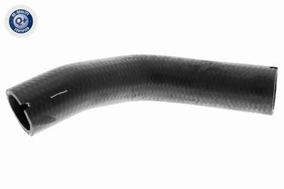 Charge Air Hose VAICO V24-0733