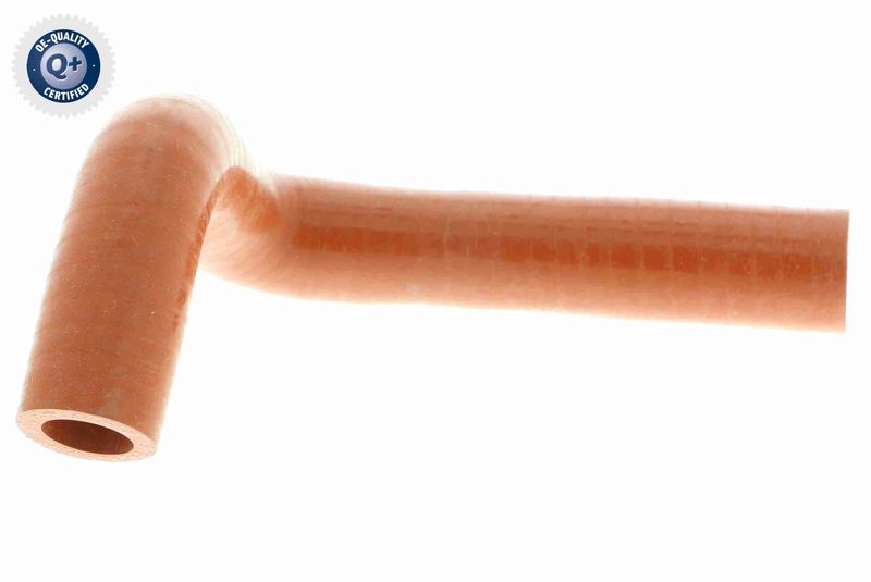 VAICO V24-0736 Charge Air Hose