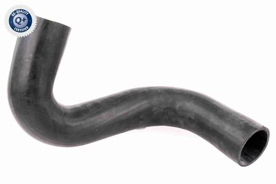 Charge Air Hose VAICO V24-0737