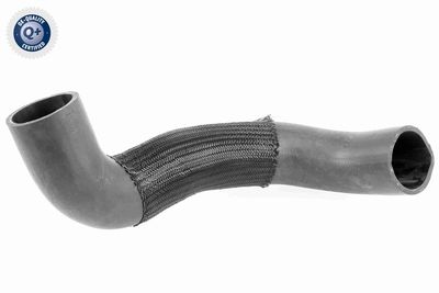 Charge Air Hose VAICO V24-0738