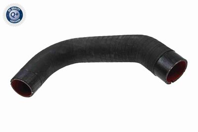 Charge Air Hose VAICO V24-0740