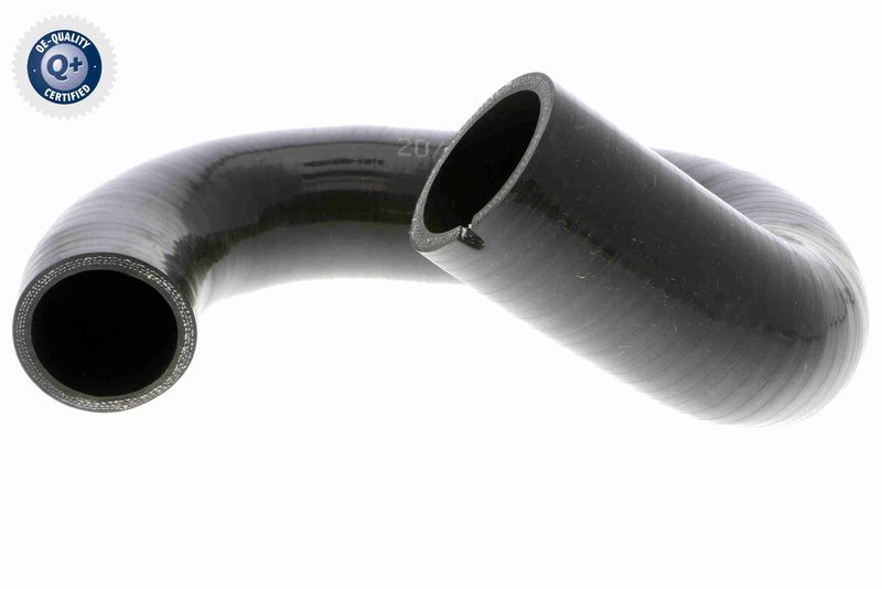 VAICO V24-0769 Charge Air Hose