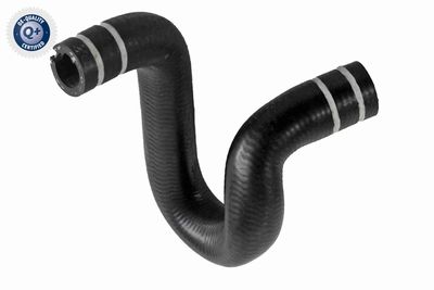 Radiator Hose VAICO V24-0803