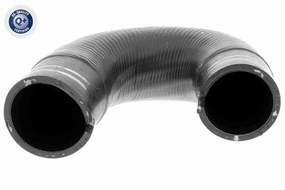 Charge Air Hose VAICO V24-0804