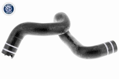 Radiator Hose VAICO V24-0806