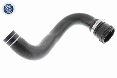 Radiator Hose VAICO V24-0822