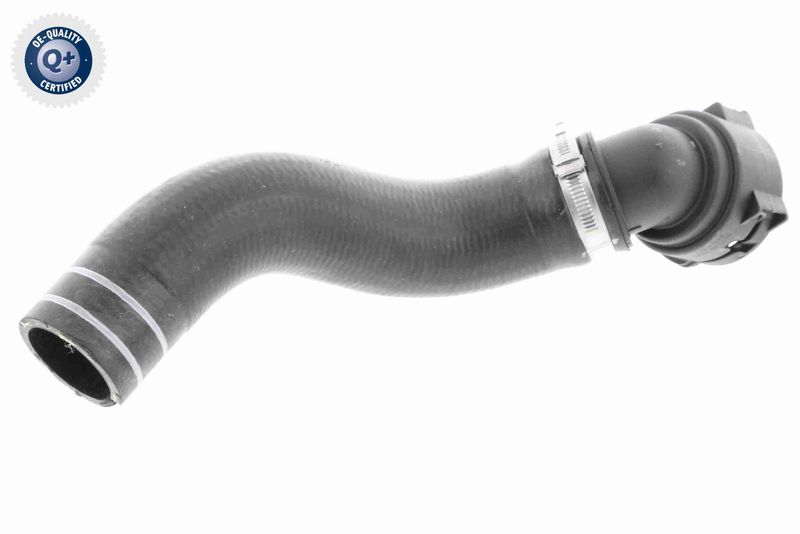 VAICO V24-0833 Radiator Hose