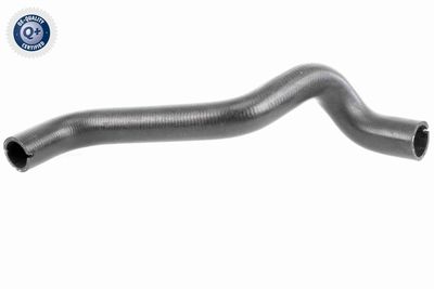 Radiator Hose VAICO V24-0868