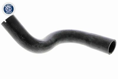 Radiator Hose VAICO V24-0872