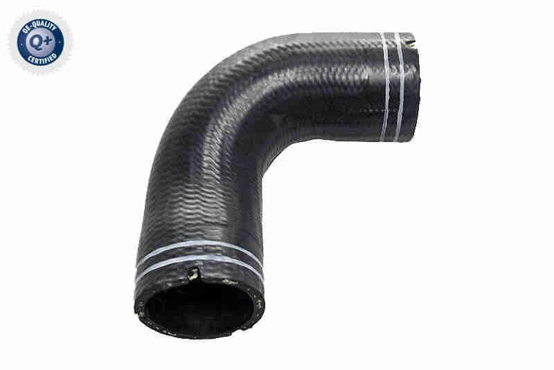 VAICO V24-1063 Hose, crankcase ventilation