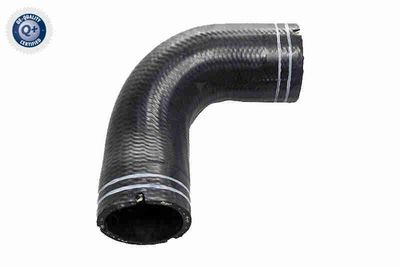 Hose, crankcase ventilation VAICO V24-1063