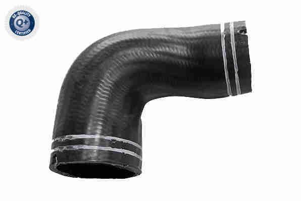 VAICO V24-1064 Charge Air Hose