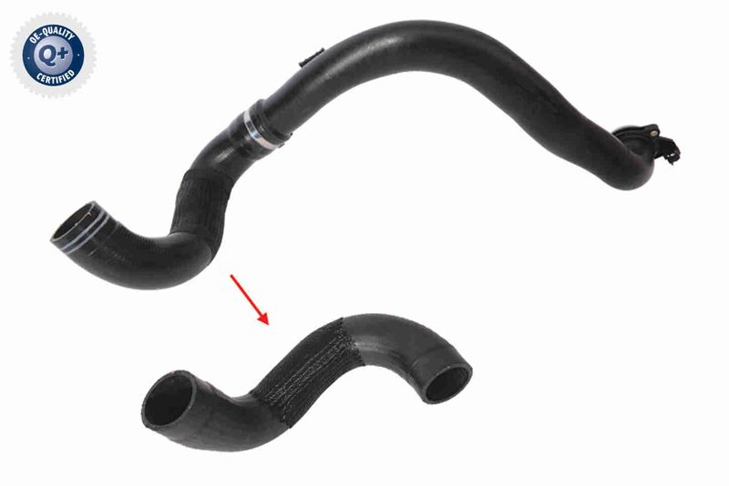 VAICO V24-1177 Charge Air Hose
