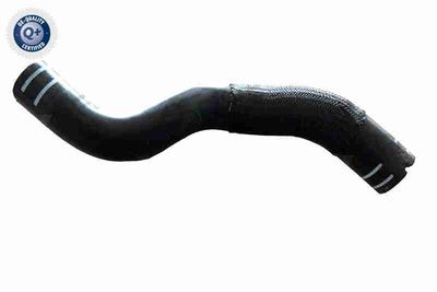 Radiator Hose VAICO V24-1271