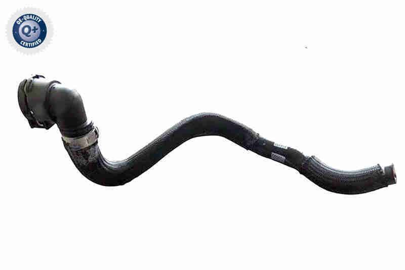 VAICO V24-1272 Radiator Hose