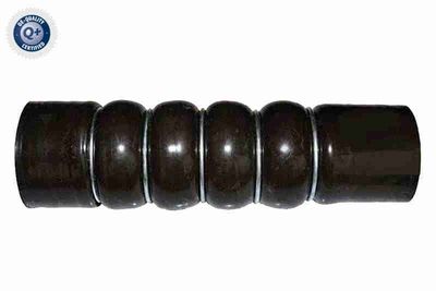 Charge Air Hose VAICO V25-0853
