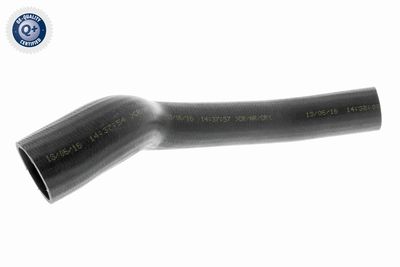 Charge Air Hose VAICO V25-0948