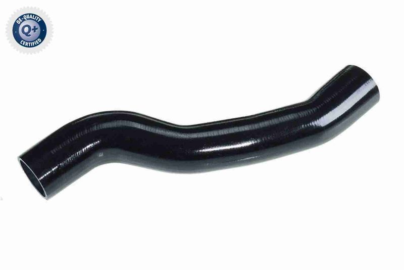 VAICO V25-0952 Charge Air Hose