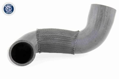 Charge Air Hose VAICO V25-0988