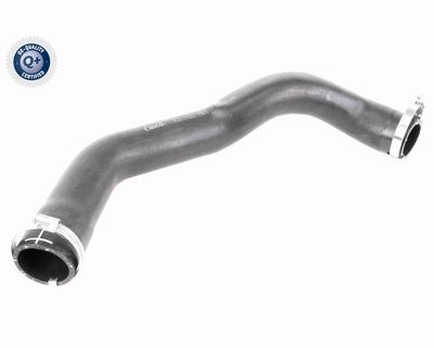 Charge Air Hose VAICO V25-1022