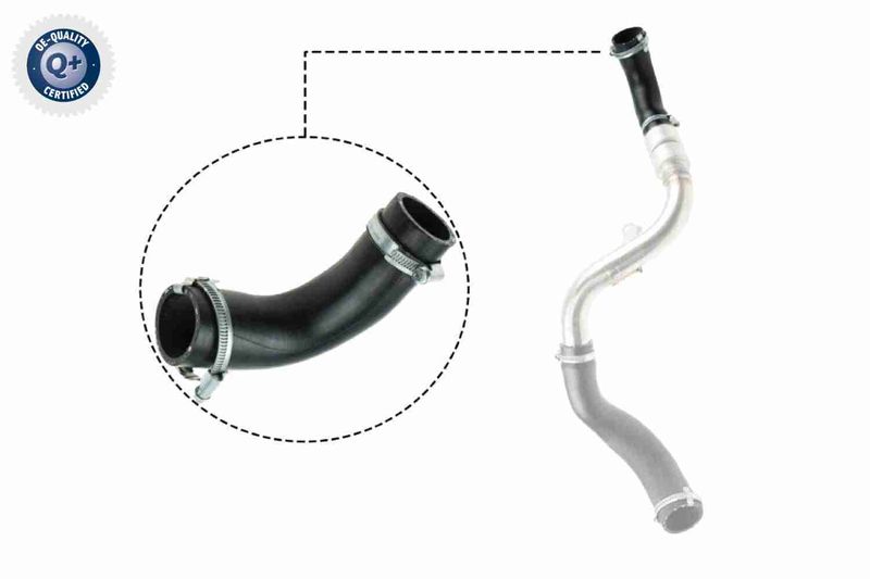VAICO V25-1023 Charge Air Hose