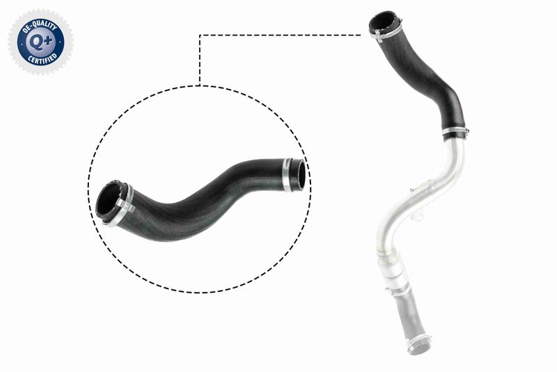 VAICO V25-1024 Charge Air Hose