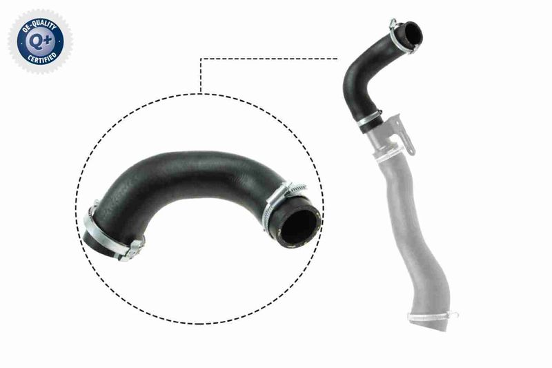 VAICO V25-1026 Charge Air Hose