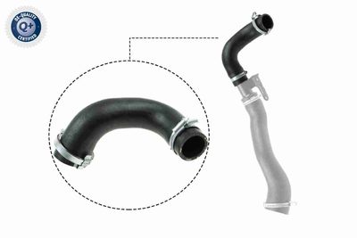 Charge Air Hose VAICO V25-1026
