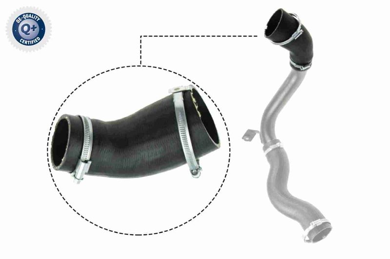VAICO V25-1029 Charge Air Hose
