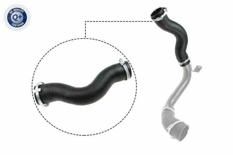 VAICO V25-1030 Charge Air Hose