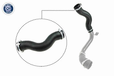 Charge Air Hose VAICO V25-1030