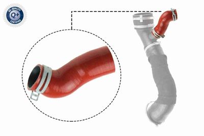 Charge Air Hose VAICO V25-1032