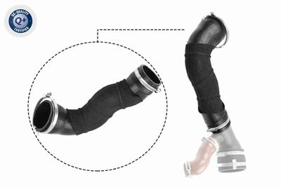 Charge Air Hose VAICO V25-1033