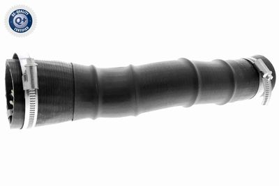 Charge Air Hose VAICO V25-1034