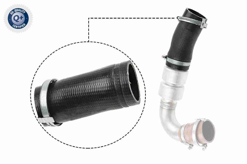 VAICO V25-1036 Charge Air Hose