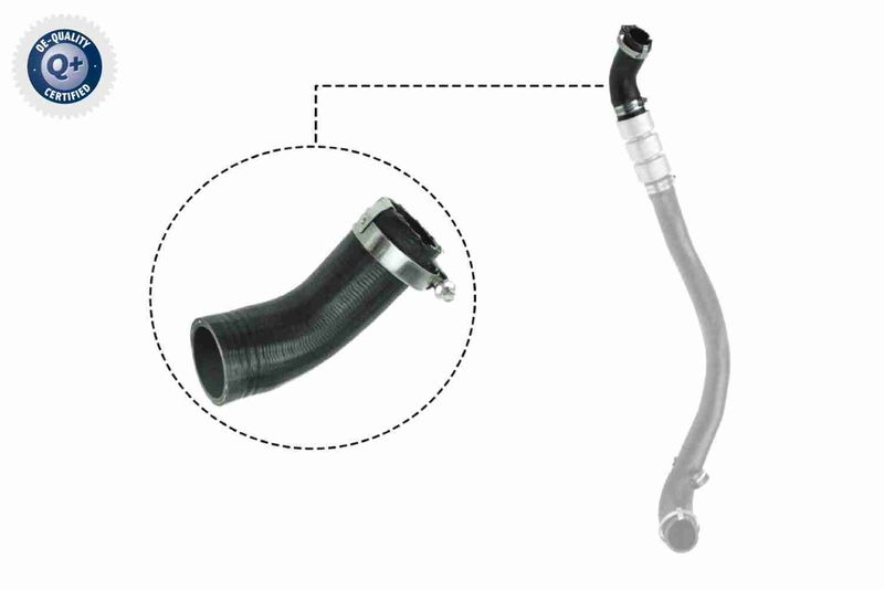 VAICO V25-1037 Charge Air Hose