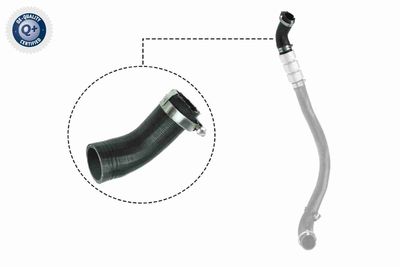 Charge Air Hose VAICO V25-1037