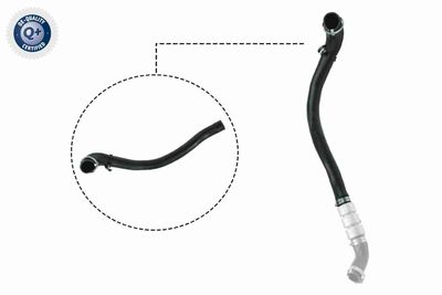 Charge Air Hose VAICO V25-1038