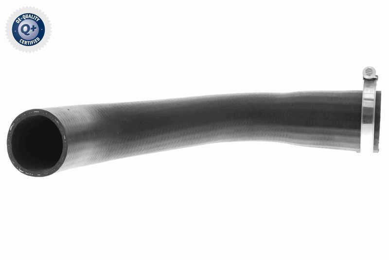VAICO V25-1041 Charge Air Hose