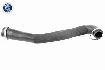 Charge Air Hose VAICO V25-1043