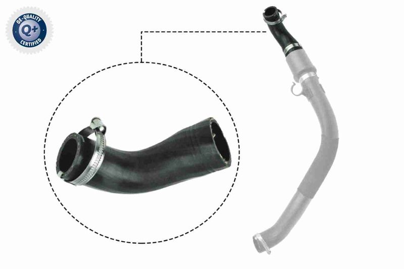 VAICO V25-1044 Charge Air Hose