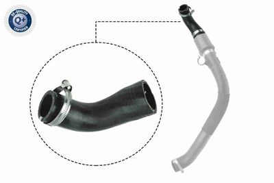Charge Air Hose VAICO V25-1044