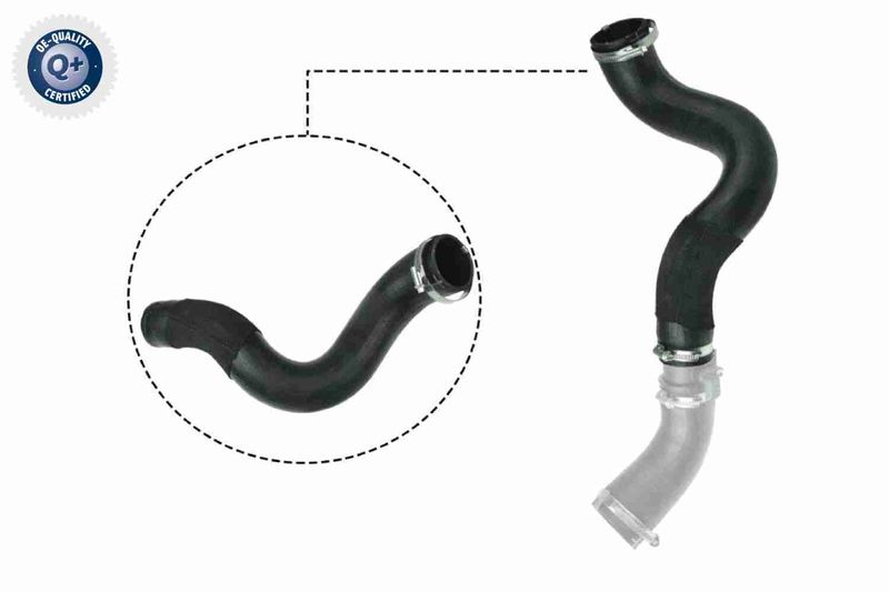 VAICO V25-1047 Charge Air Hose