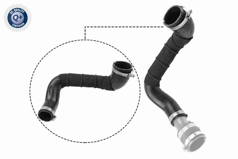 VAICO V25-1049 Charge Air Hose