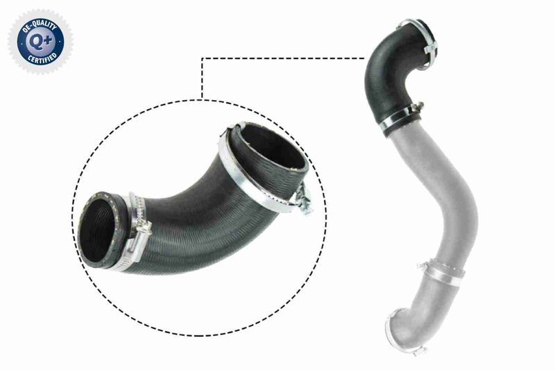 VAICO V25-1050 Charge Air Hose