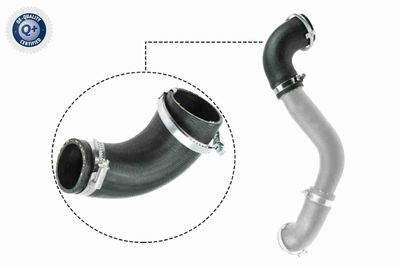 Charge Air Hose VAICO V25-1050