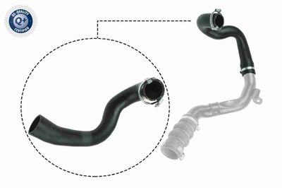 Charge Air Hose VAICO V25-1053